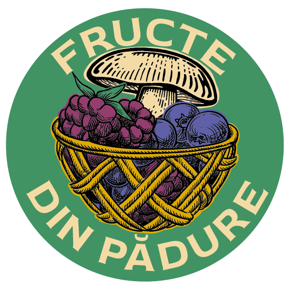 Fructe din pădure 