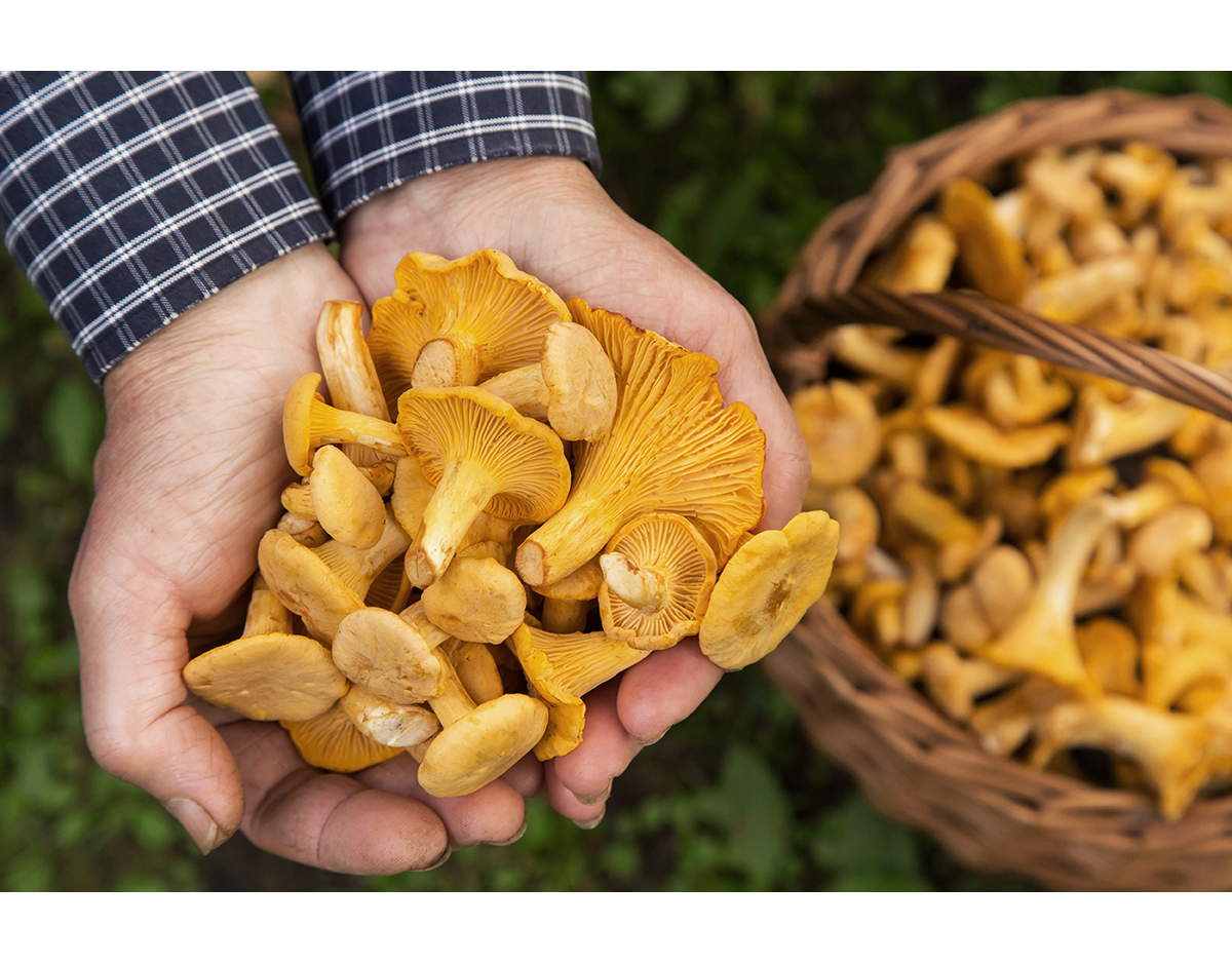 imagine-povestea-noastra